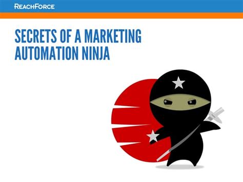 automation ninja.